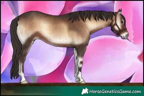 Horse Color:Liver Red Onyx Brindle 