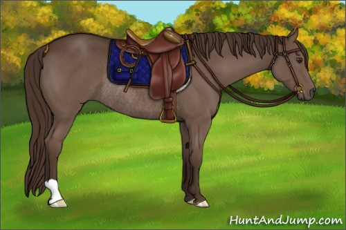 Horse Color:Liver Chestnut Rabicano