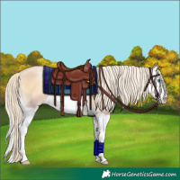 Horse Color:Gold Cream Champagne Pearl Onyx Splash Brindle