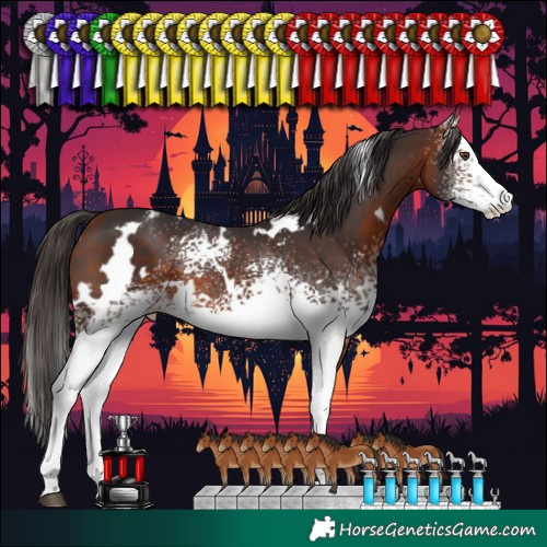 Horse Color:White Spotted Bay Varnish