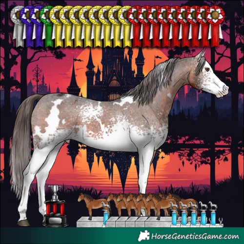 Horse Color:White Spotted Bay Varnish 
