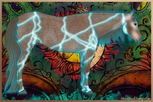 Horse Color:Gray Thunderstruck Red Roan 