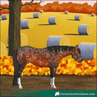 Horse Color:Brown Ice 