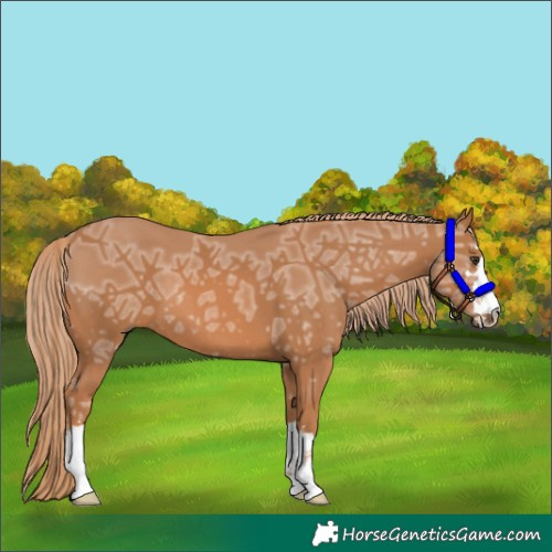 Horse Color:Chestnut Ice 