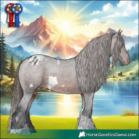 Horse Color:White Spotted Brown Tobiano Appaloosa 