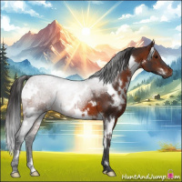 Horse Color:White Spotted Brown 