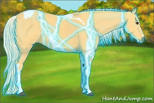 Horse Color:Thunderstruck Palomino Tobiano 