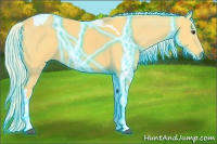 Horse Color:Thunderstruck Palomino Tobiano 