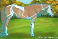 Horse Color:Thunderstruck Chestnut Tobiano