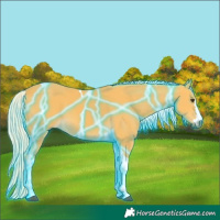 Horse Color:Thunderstruck Palomino Tobiano 