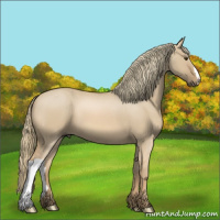 Horse Color:Red Dun Mushroom 