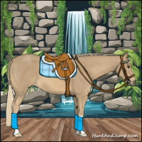 Horse Color:Chestnut Mushroom