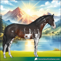 Horse Color:Brown Sabino
