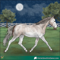 Horse Color:White Spotted Chocolate Silver Brown Roan Dun