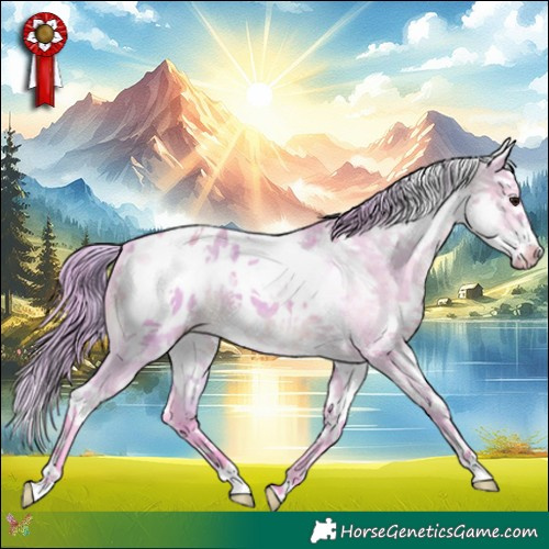 Horse Color:Watercolor White Spotted Chocolate Brown Dun Splash Appaloosa 