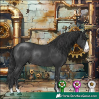 Horse Color:Black Sabino Rabicano 