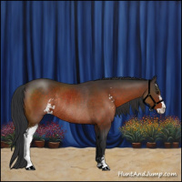 Horse Color:Bay Sabino Rabicano 
