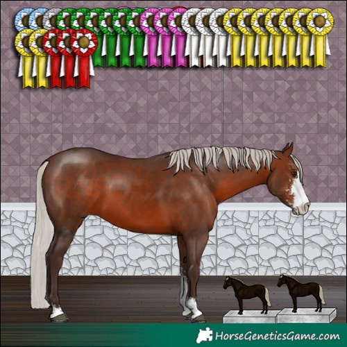 Horse Color:Silver Brown Sabino 