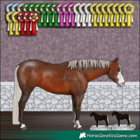 Horse Color:Silver Brown Sabino