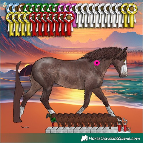 Horse Color:Platinum Chocolate Brown 