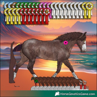 Horse Color:Platinum Chocolate Brown 