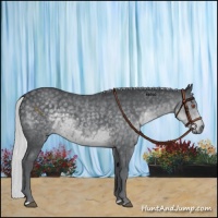 Horse Color:Silver Black Chinchilla 