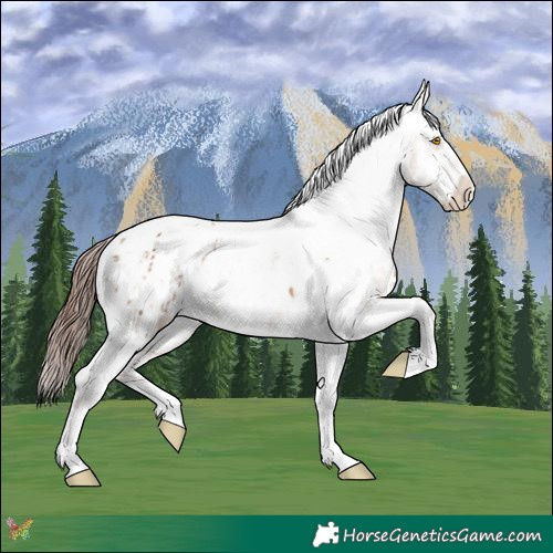 Horse Color:Sable Champagne Sabino Tobiano Appaloosa  and Sable Champagne Sabino Tobiano Appaloosa 