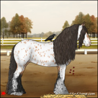 Horse Color:Bay Roan Near Leopard 