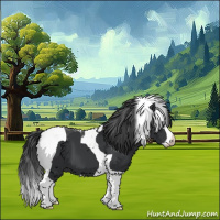 Horse Color:Black Splash Tobiano 