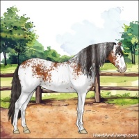 Horse Color:White Spotted Buckskin 