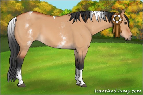 Horse Color:White Spotted Bay Dun Tobiano 