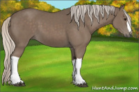 Horse Color:Silver Black 