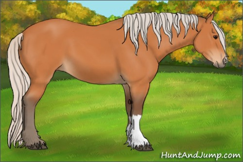 Horse Color:Silver Bay