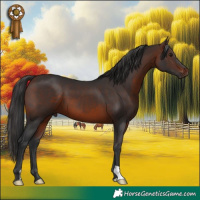 Horse Color:Brown 