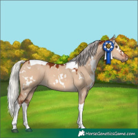 Horse Color:White Spotted Silver Brown Dun Tobiano 