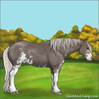 Horse Color:Silver Black Sabino 