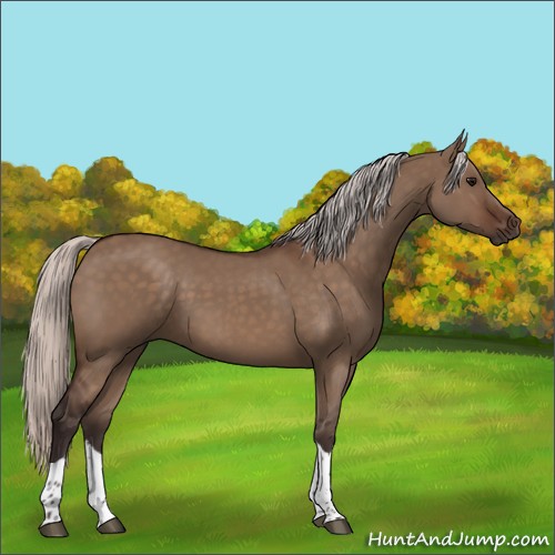 Horse Color:Silver Brown Dun Tobiano 