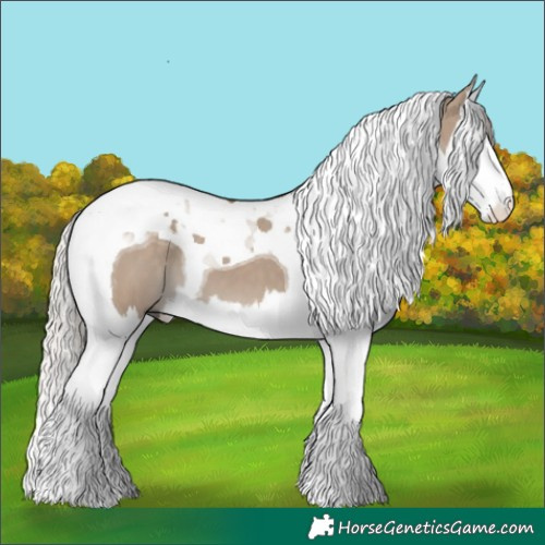 Horse Color:Silver Grullo Splash Tobiano