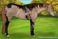 Horse Color:Void Painted Black Pearl Sabino Tobiano Rabicano