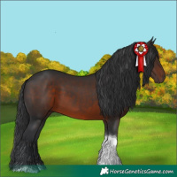 Horse Color:White Spotted Brown Tobiano 