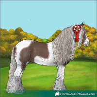 Horse Color:Silver Black Tobiano Frame 