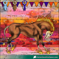 Horse Color:Bay 