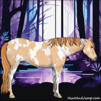 Horse Color:White Spotted Red Dun 