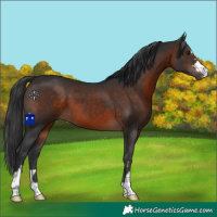 Horse Color:Brown 