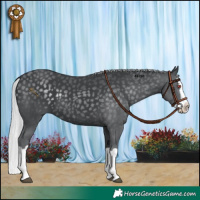 Horse Color:Silver Black Chinchilla Splash 