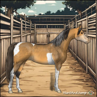 Horse Color:Buckskin Sabino Tobiano