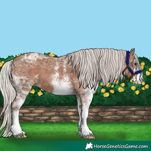 Horse Color:White Spotted Silver Black Ice 