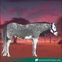 Horse Color:Black Ice Splash
