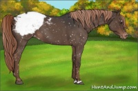 Horse Color:Liver Red Roan Snowcap 
