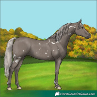 Horse Color:White Spotted Silver Grullo Brindle 